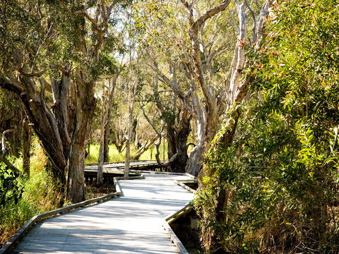 Eagleby Wetlands - Holiday Great Ocean Road 1