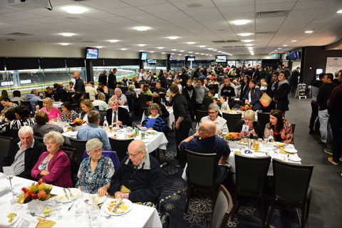 Geelong Greyhound Racing Club - The Beckley Centre - Holiday Great Ocean Road 1