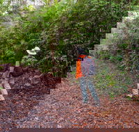 Gibraltar-Washpool World Heritage Walk - Holiday Great Ocean Road