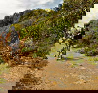 Mountain Biking Trails - Holiday Great Ocean Road