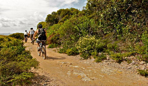 Mountain Biking Trails - Holiday Great Ocean Road 0