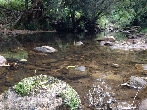 Otford Farm Horse Riding - Holiday Great Ocean Road 2