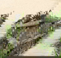 Pebbly Beach to Snake Bay walking track - Holiday Great Ocean Road