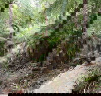 Upper Yarra Reservoir Park - Holiday Great Ocean Road