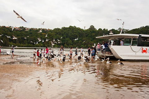 Catch A Crab Tour With Optional Seafood Lunch - Holiday Great Ocean Road 1