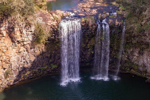 Rainforest & Waterfall Experience - Holiday Great Ocean Road 1