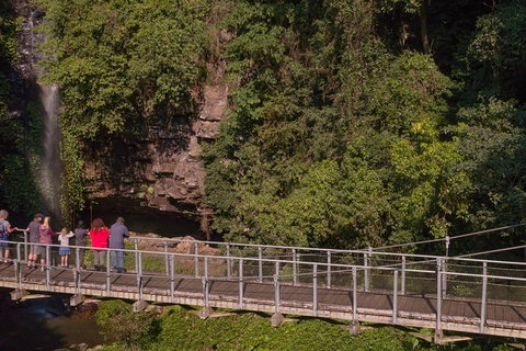 Rainforest & Waterfall Experience - Holiday Great Ocean Road 4