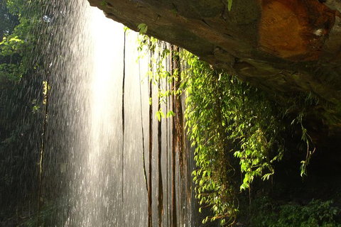 Rainforest & Waterfall Experience - Holiday Great Ocean Road 9