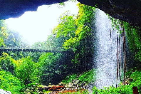 Rainforest & Waterfall Experience - Holiday Great Ocean Road 6