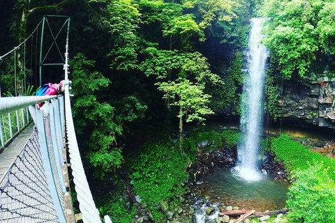 Rainforest & Waterfall Experience - Holiday Great Ocean Road 0