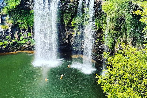 Rainforest & Waterfall Experience - Holiday Great Ocean Road 2