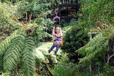 Illawarra Fly Treetop Adventures Treetop Walk Admission Ticket - Holiday Great Ocean Road 2