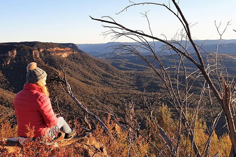 Ultimate Blue Mountains Waterfalls, Walks & Sunset PRIVATE Tour - Holiday Great Ocean Road 5