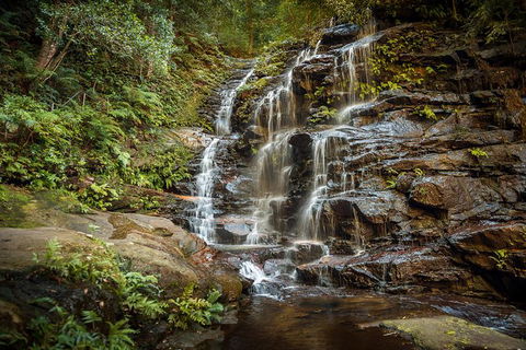 Ultimate Blue Mountains Waterfalls, Walks & Sunset PRIVATE Tour - Holiday Great Ocean Road 10