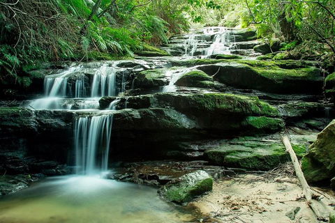 Ultimate Blue Mountains Waterfalls, Walks & Sunset PRIVATE Tour - Holiday Great Ocean Road 2