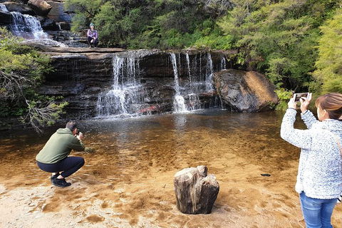 Ultimate Blue Mountains Waterfalls, Walks & Sunset PRIVATE Tour - Holiday Great Ocean Road 0