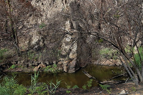 Brisbane Ranges National Park - Holiday Great Ocean Road 0