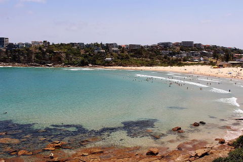 Half Day Manly Beach And More - Holiday Great Ocean Road 11