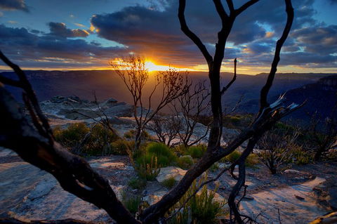 Ultimate Blue Mountains And Wildlife Tour - Holiday Great Ocean Road 0