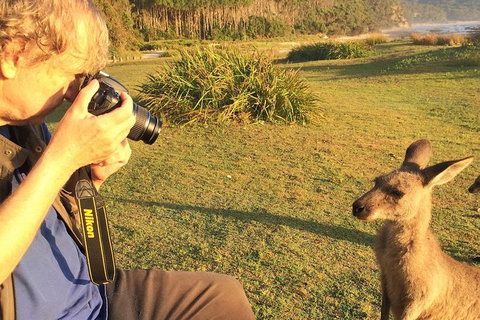 Highlights Of The Eurobodalla (half Day Private Tour) - Holiday Great Ocean Road 2