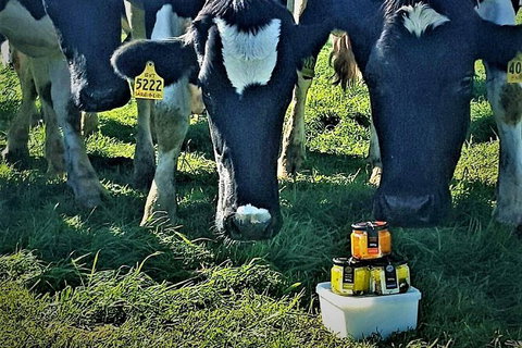 Artisan Cheese Tastings And Sales - Holiday Great Ocean Road 11