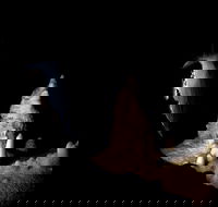 Jenolan Caves Extended Temple of Baal Cave Tour