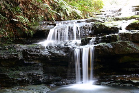 Private 10-hour Tour To Blue Mountains From Sydney - Hotel Pick Up & Drop Off - Holiday Great Ocean Road 6