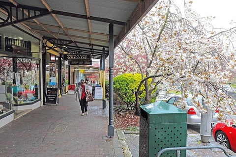 Blue Mountains Highlights, Wildlife Park And Scenic World Full Day Private Tour - Holiday Great Ocean Road 2