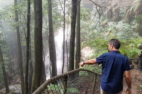 Blue Mountains Highlights, Wildlife Park And Scenic World Full Day Private Tour - Holiday Great Ocean Road 6