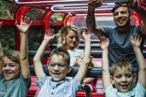 Blue Mountains Highlights, Wildlife Park And Scenic World Full Day Private Tour - Holiday Great Ocean Road 5