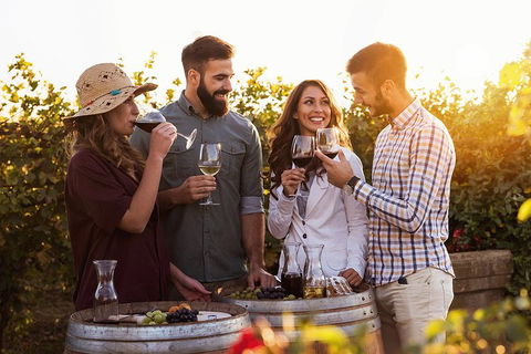 Hunter Valley Highlights Private Wine Tour From Sydney - Holiday Great Ocean Road 0