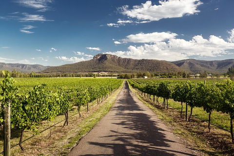 Hunter Valley Highlights Private Wine Tour From Sydney - Holiday Great Ocean Road 2