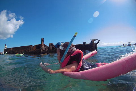 All Inclusive Dolphin And Tangalooma Wrecks Cruise - Holiday Great Ocean Road 8