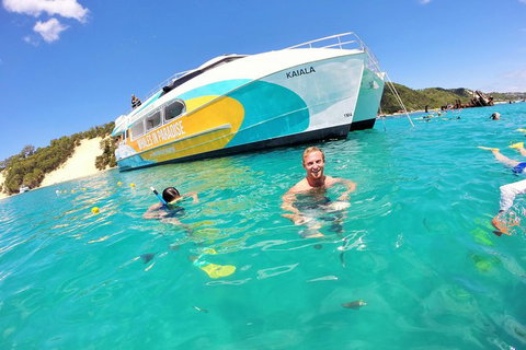 All Inclusive Dolphin And Tangalooma Wrecks Cruise - Holiday Great Ocean Road 0
