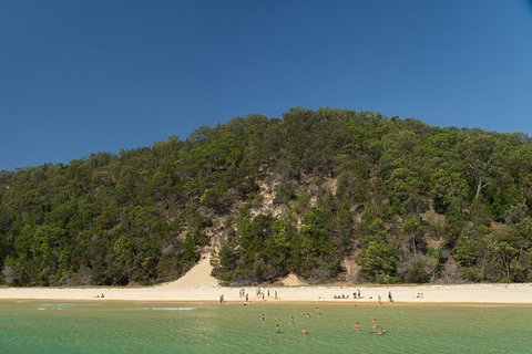 All Inclusive Dolphin And Tangalooma Wrecks Cruise - Holiday Great Ocean Road 4
