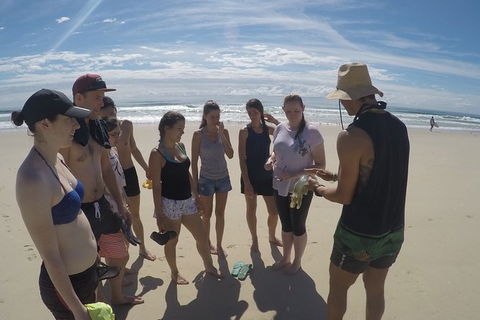 Half Day Dolphin Kayaking And Snorkeling Tour - Holiday Great Ocean Road 6
