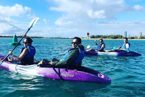 Half Day Dolphin Kayaking And Snorkeling Tour - Holiday Great Ocean Road 5