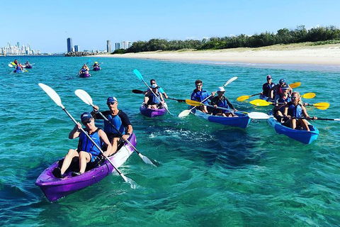 Half Day Dolphin Kayaking And Snorkeling Tour - Holiday Great Ocean Road 11