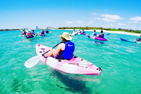 Half Day Dolphin Kayaking And Snorkeling Tour - Holiday Great Ocean Road 0