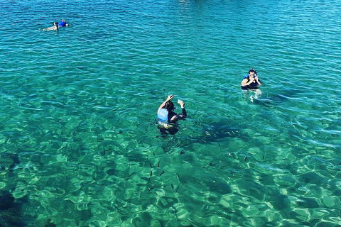 Half Day Dolphin Kayaking And Snorkeling Tour - Holiday Great Ocean Road 12