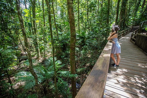Daintree Rainforest, Cape Tribulation And Bloomfield Track Small Group Tour - Holiday Great Ocean Road 3