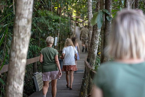 Daintree Rainforest, Cape Tribulation And Bloomfield Track Small Group Tour - Holiday Great Ocean Road 15