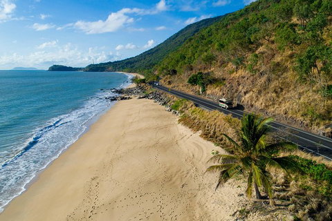 Daintree Rainforest, Cape Tribulation And Bloomfield Track Small Group Tour - Holiday Great Ocean Road 4
