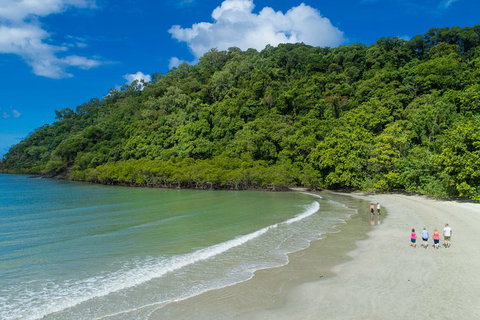 Daintree Rainforest, Cape Tribulation And Bloomfield Track Small Group Tour - Holiday Great Ocean Road 2