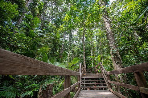 Daintree Rainforest, Cape Tribulation And Bloomfield Track Small Group Tour - Holiday Great Ocean Road 13