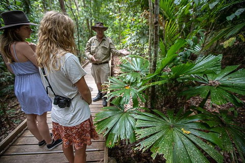 Daintree Rainforest, Cape Tribulation And Bloomfield Track Small Group Tour - Holiday Great Ocean Road 12