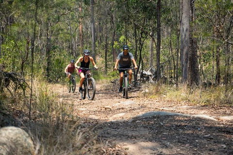 EMtn Bike + Brewery Day Tour - Holiday Great Ocean Road 21