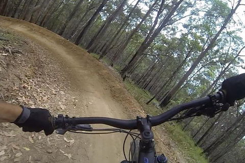 EMtn Bike + Brewery Day Tour - Holiday Great Ocean Road 2
