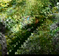 OReillys Rainforest Retreat and Winery Day Tour from Nerang - Holiday Great Ocean Road