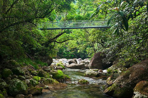 SHUTTLE - Mossman Gorge & Cooya Beach From Port Douglas (Return Transfer) - Holiday Great Ocean Road 4